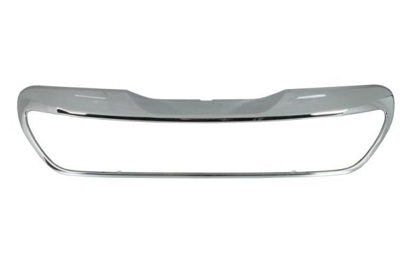 Banda de protectie, grila radiator BLIC PG2062305