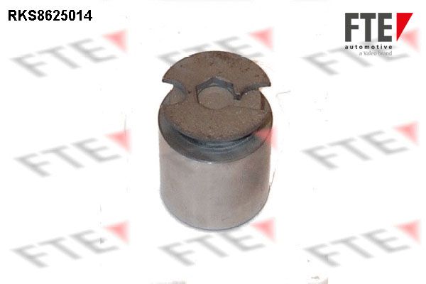Tłoczek, zacisk hamulca FTE 9313221
