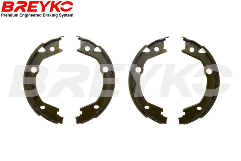 Zestaw szczęk hamulcowych DAVID VASCO W8747