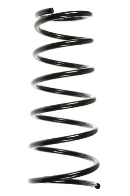 Arc spiral SPIDAN 55490