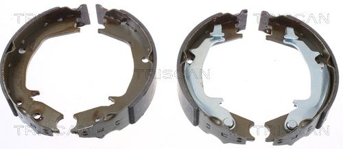 Zestaw szczęk hamulcowych, hamulec postojowy TRISCAN 8100 43016