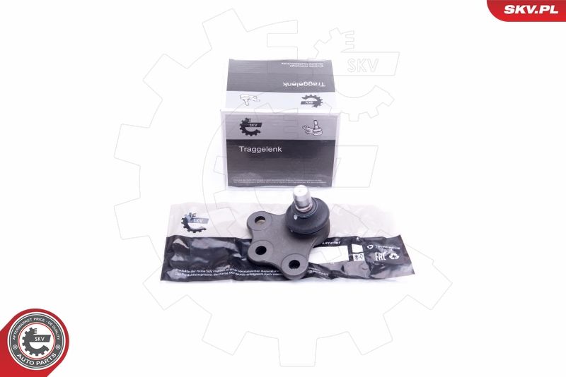 Balst-/Virzošais šarnīrs