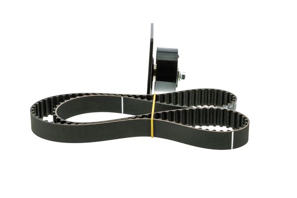 Kit de courroie crantée OE RENAULT 8201038625
