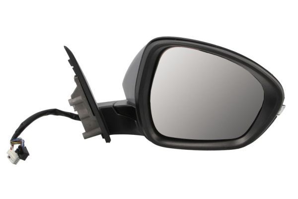 Oglinda exterioara BLIC 5402-22-2075317P