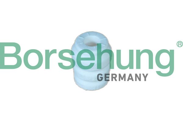 Borsehung B10021