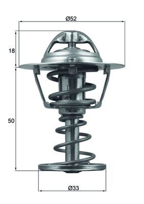 MAHLE termostat C1 1.0 05-