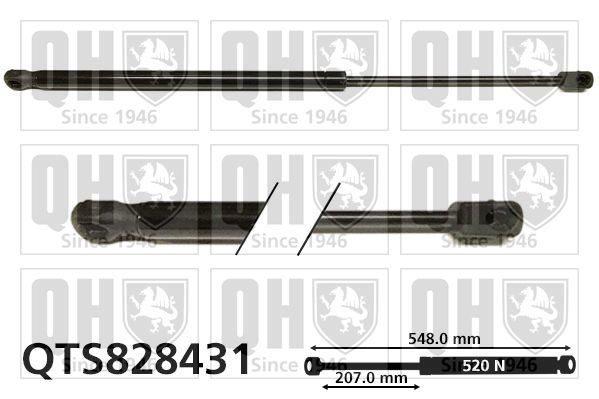 Sprężyna gazowa, pokrywa bagażnika QUINTON HAZELL QTS828431