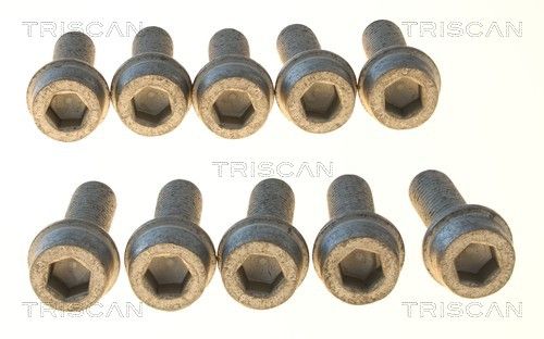 TRISCAN 85010508