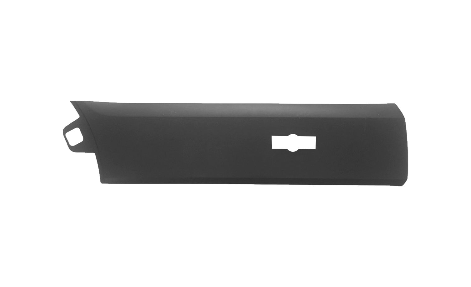 Elemente decorative/protectie, panou lateral POLIPLAST 100.19842