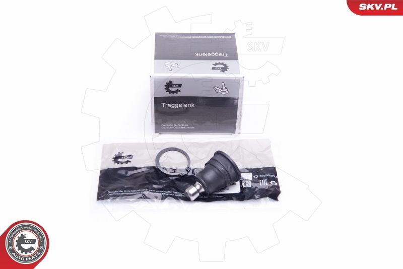 Balst-/Virzošais šarnīrs