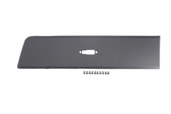 Ehis-/kaitseliist,Poritiib