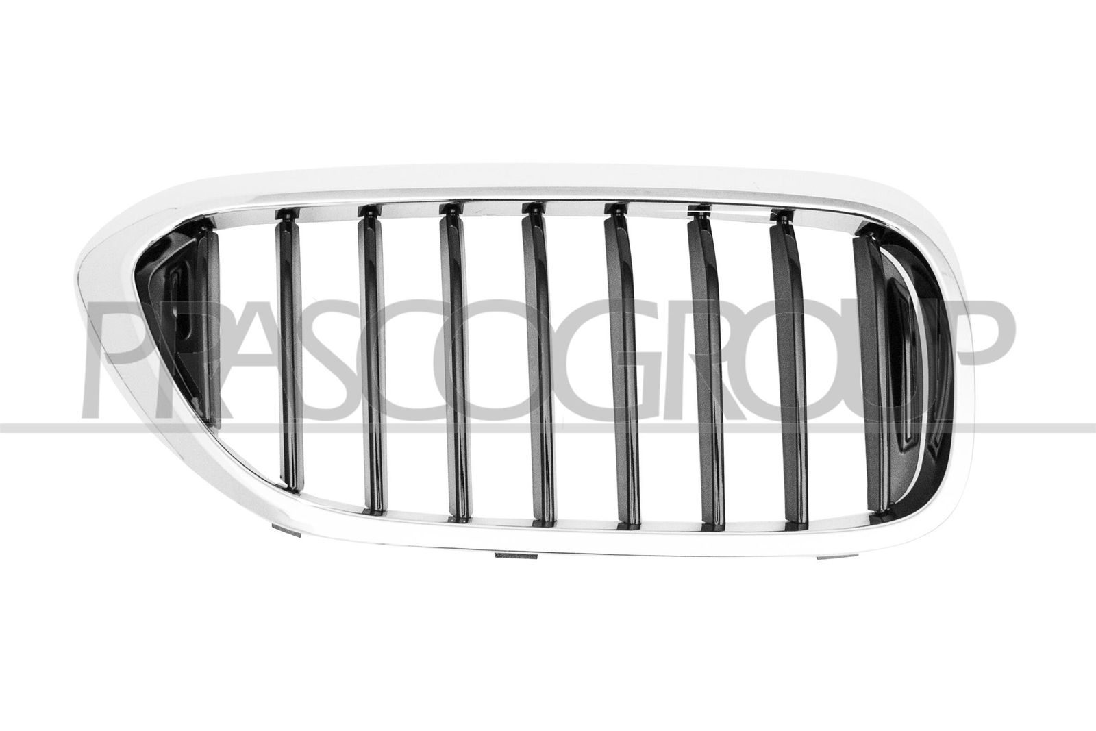 Grila radiator PRASCO BM0522023