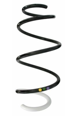 Arc spiral SPIDAN 87878