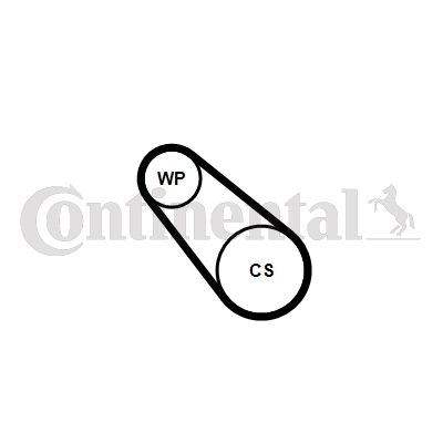 Pompa wodna + zestaw paska klinowego wielorowkowego CONTINENTAL CTAM 3PK576 ELAST WP2