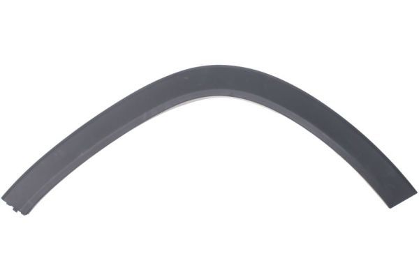 Ehis-/kaitseliist,Poritiib