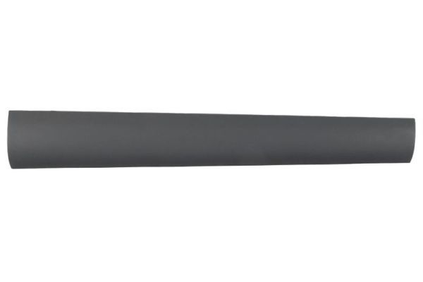 Elemente decorative/protectie, portiera BLIC 5703-04-6460576P