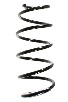 Arc spiral SPIDAN 55986