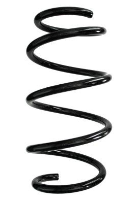 Arc spiral SPIDAN 87913