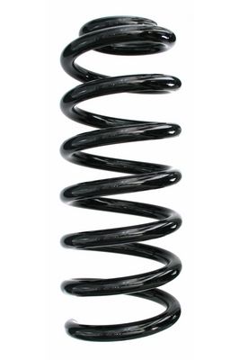 Arc spiral SPIDAN 87698