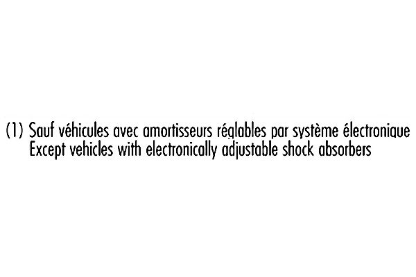 Amortisseur