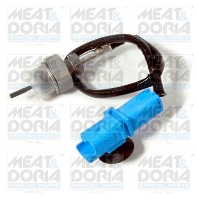czujnik, temperatura spalin MEAT & DORIA 12303