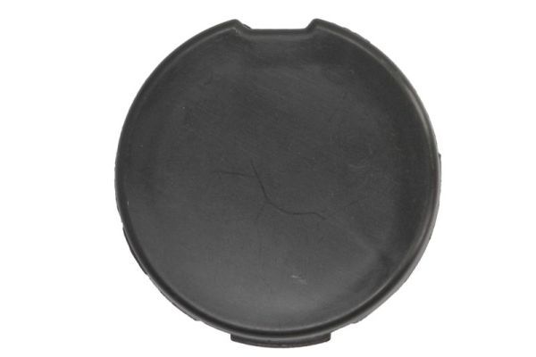 acoperire tampon,sistem de remorcare BLIC 5513-00-9000972P