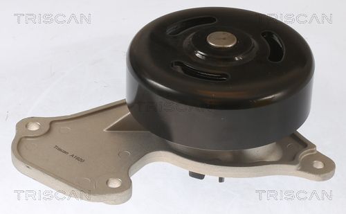 Pompa wody, chłodzenie silnika TRISCAN 8600 25095