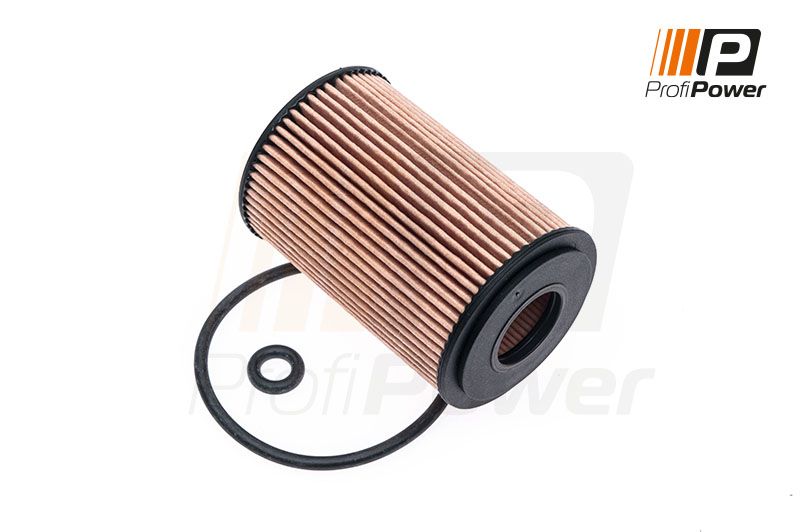 E-shop Olejový filter ProfiPower 1F0091