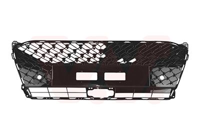 Grille de radiateur