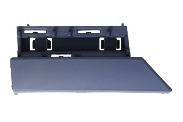 Ehis-/kaitseliist,Poritiib