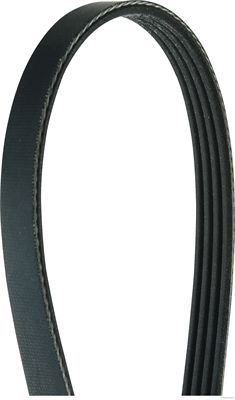 Pasek klinowy wielorowkowy HERTH+BUSS JAKOPARTS J1040701