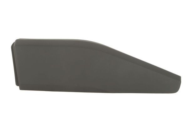 Elemente decorative/protectie, portiera BLIC 5703-04-8182573P