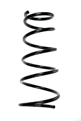 Arc spiral SPIDAN 85858