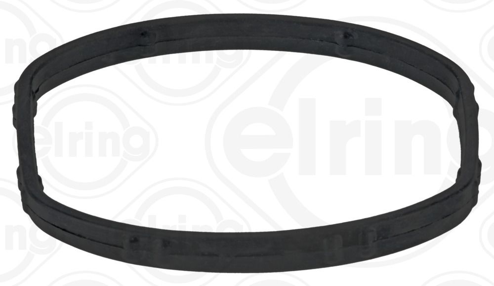 Blīve, Termostata korpuss