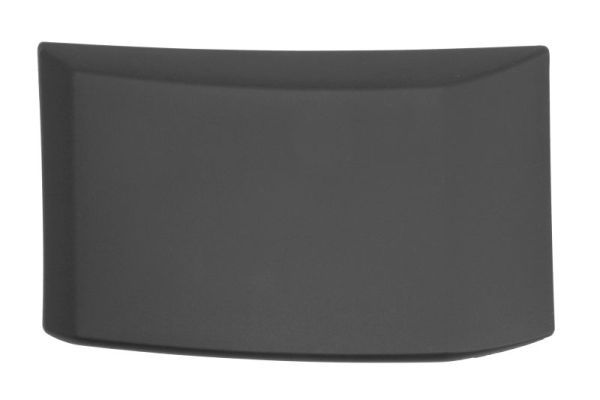 Ehis-/kaitseliist,külg