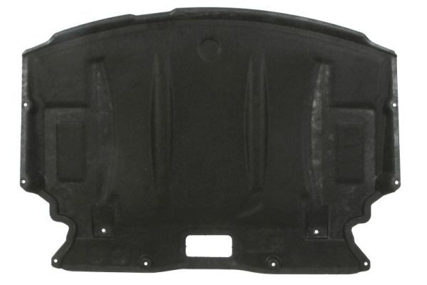 Acoperire motor BLIC 6601-05-0000035P