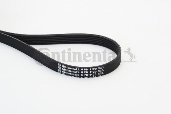 Pasek klinowy wielorowkowy CONTINENTAL CTAM 6PK1120