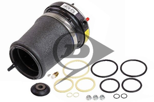 Arc pneumatic, directie DUNLOP AIRSUSPENSION 71094