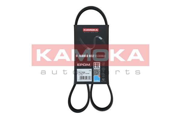 Pasek klinowy wielorowkowy KAMOKA 7017002