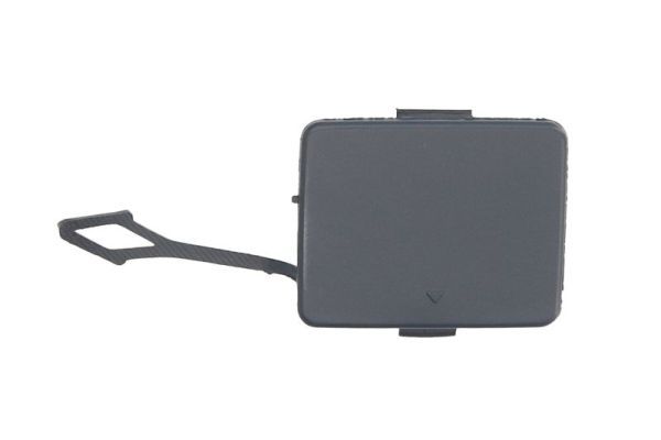 acoperire tampon,sistem de remorcare BLIC 5513-00-3508970P