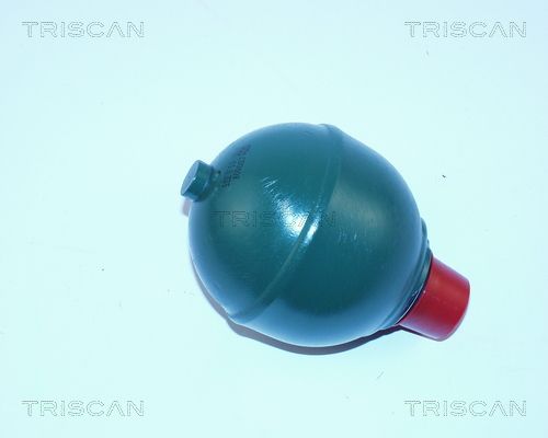 Akumulator ciśnienia, resorowanie / tłumienie TRISCAN 8760 38121
