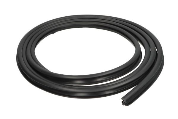 Elemente decorative/protectie, parbriz BLIC 5703-04-6037298Q