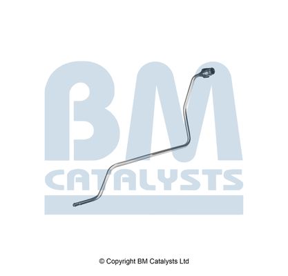 BM CATALYSTS PP11784B