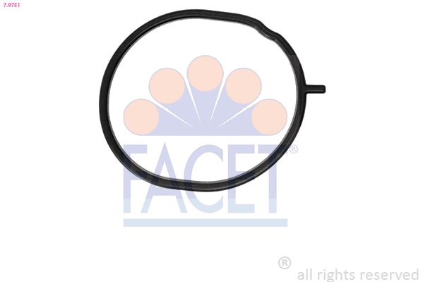 Uszczelka, termostat FACET 7.9751