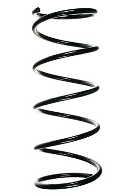 Arc spiral SPIDAN 55132