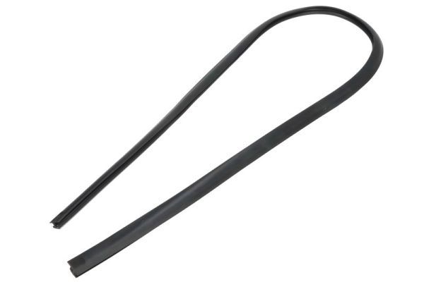Elemente decorative/protectie, parbriz BLIC 5703-04-6037879Q