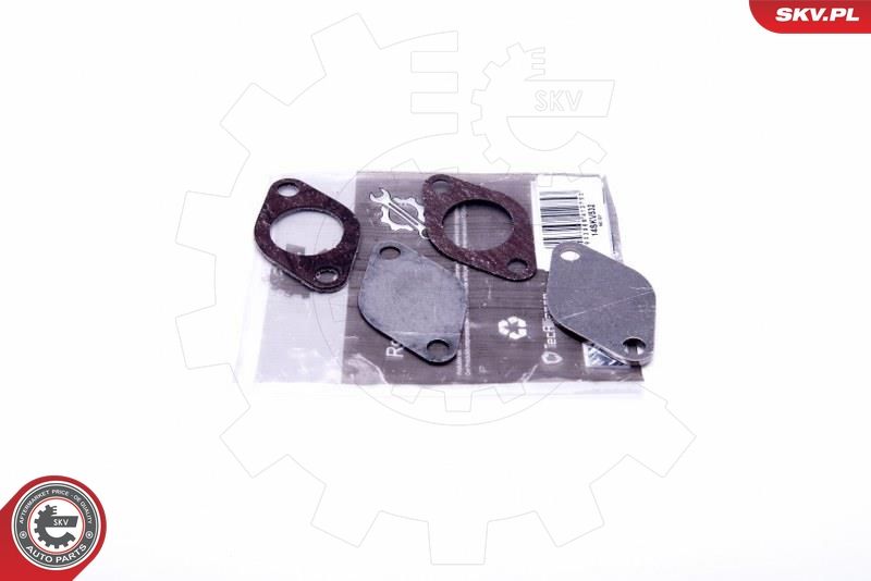 Set de reparație, supapă AGR ESEN SKV 14SKV532