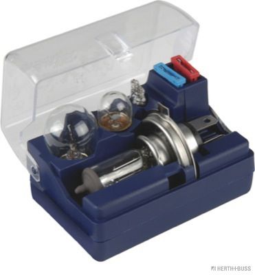 Sortimente, becuri HERTH+BUSS ELPARTS 89900106