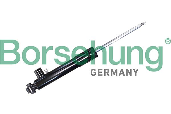 Amortyzator BORSEHUNG B11179
