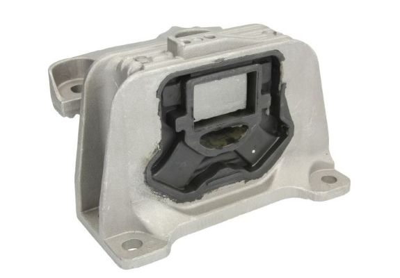 Suport motor MTR 12162255